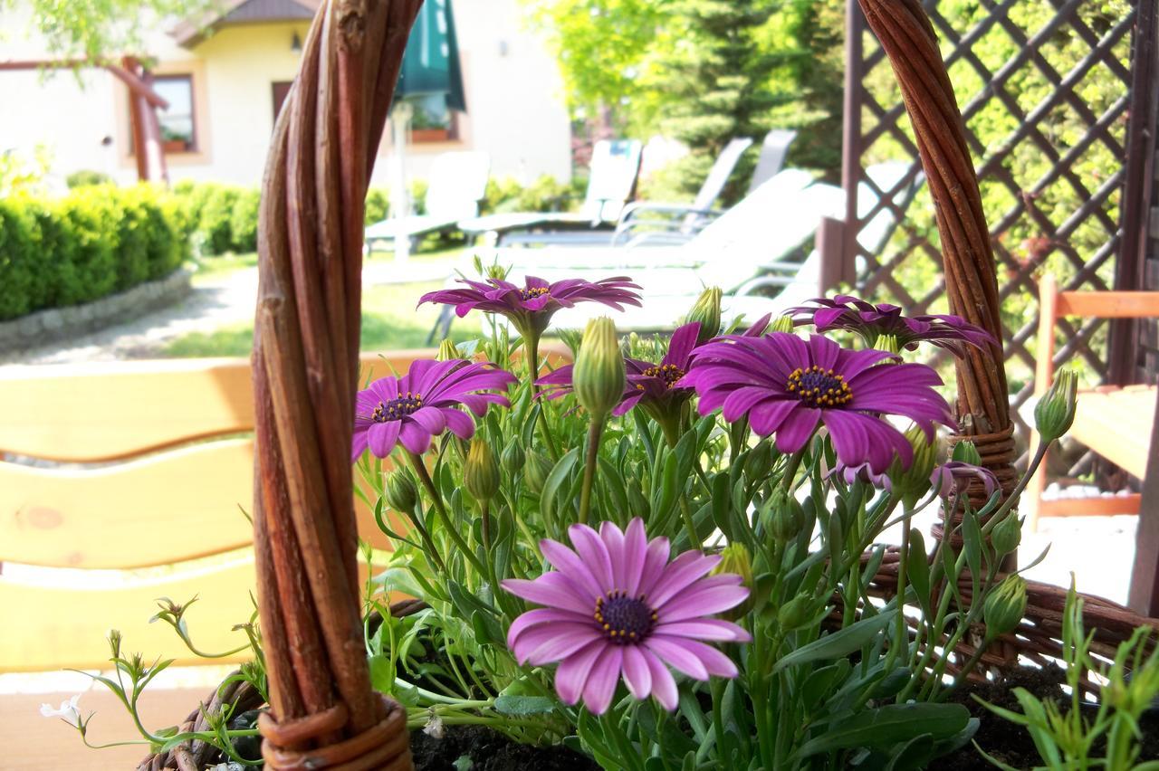 ミエルノ D.L.Blazkiewicz Bed & Breakfast エクステリア 写真