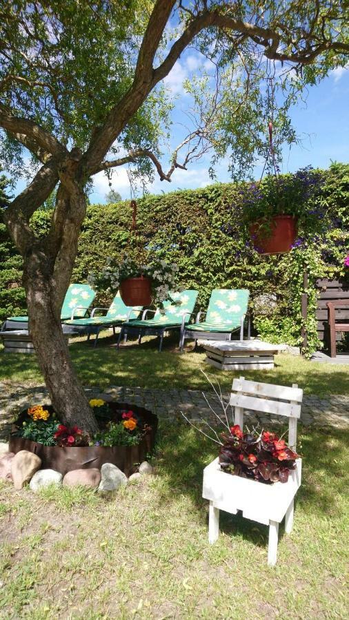 ミエルノ D.L.Blazkiewicz Bed & Breakfast エクステリア 写真